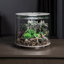 biOrb Plant Bonsai Ball black