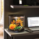 biOrb Plant Sea Fan small black