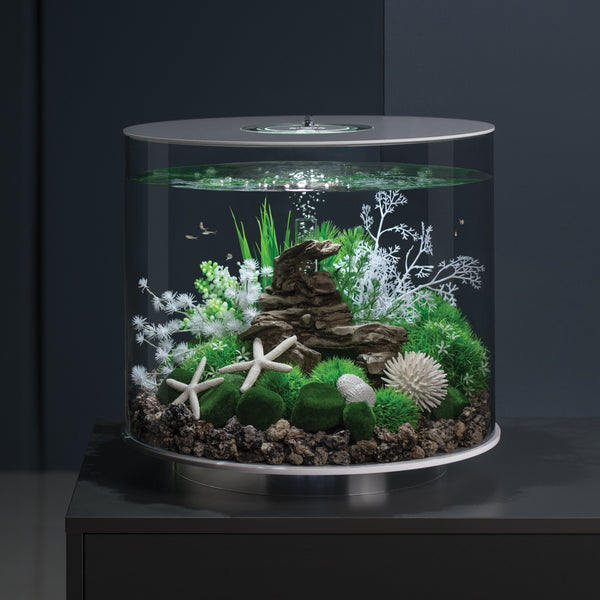 biOrb Plant Sea Fan small white