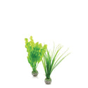 biOrb Easy Plant Set medium green