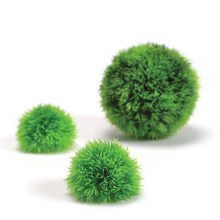 biOrb Plant Aquatic Topiary Ball Set of 3