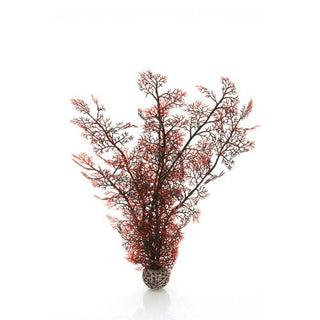 biOrb Plant Sea Fan medium crimson