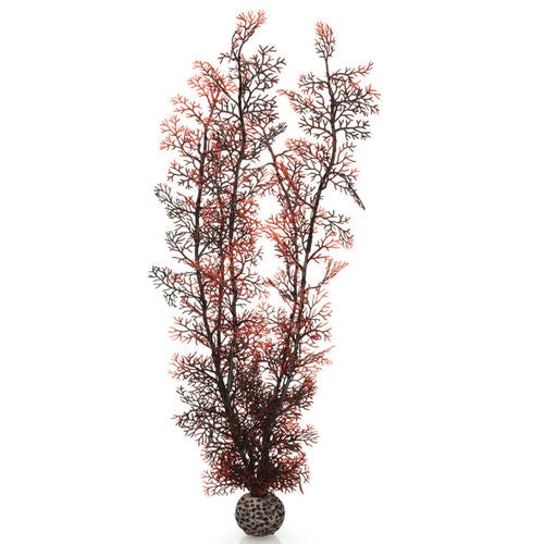 biOrb Plant Sea Fan extra-large crimson