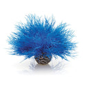 biOrb Plant Sea Lily blue