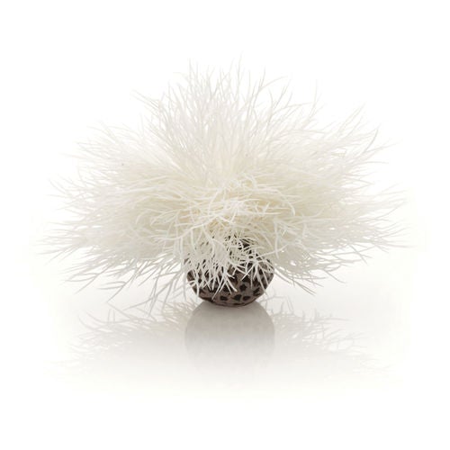biOrb Plant Sea Lily White