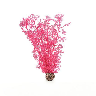 biOrb Plant Sea Fan medium pink
