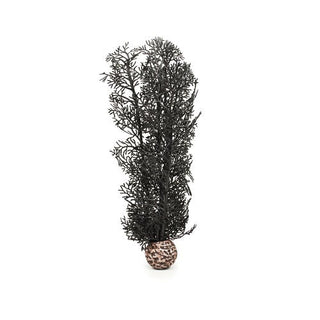 biOrb Plant Sea Fan medium black