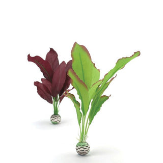 biOrb Silk Plant Set medium green & purple