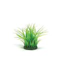 biOrb Plant Grass Ring small green