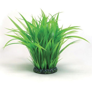 biOrb Plant Grass Ring large green
