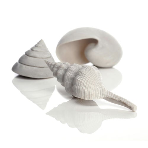 biOrb Ornament Seashell Set of 3 white