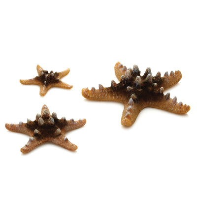 biOrb Ornaments Natural Starfish Set of 3