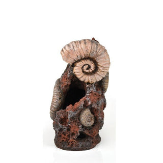biOrb Ancient Conch Sculpture