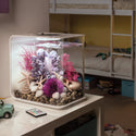 biOrb Aquatic Plant Color Ball purple
