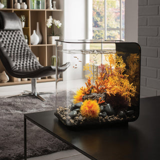 biOrb Plant Sea Fan medium orange