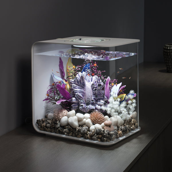 biOrb Plant Bonsai Ball White