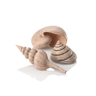 biOrb Ornament Seashell Set of 3 natural