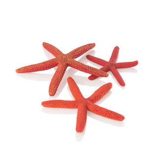 biOrb Ornament Starfish Set of 3 red