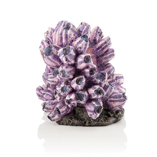 biOrb Barnacle Cluster Sculpture