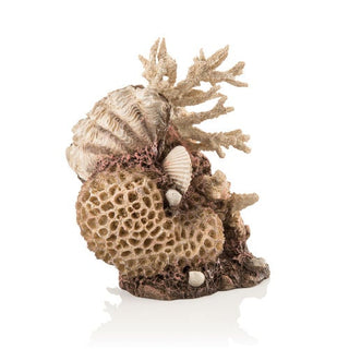 biOrb Coral-Shells Sculpture natural