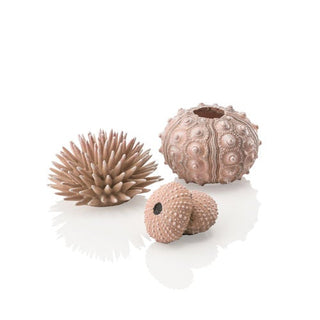 biOrb Ornament Sea Urchins Set of 3 natural
