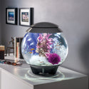 biOrb Plant Kelp Set medium purple