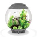 Atlantic® Oase BiOrb HALO Aquarium with Multi-Color Remote