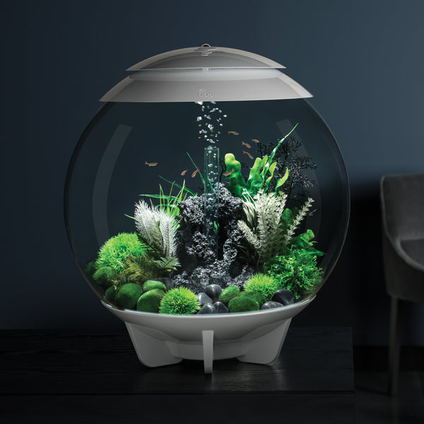 Atlantic® Oase BiOrb HALO Aquarium with Multi-Color Remote