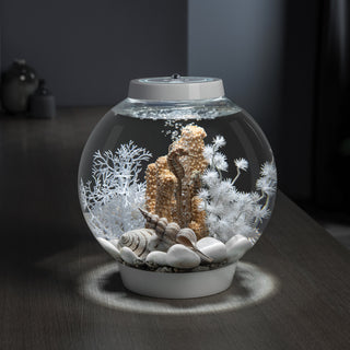 biOrb Seahorses on Coral Sculpture