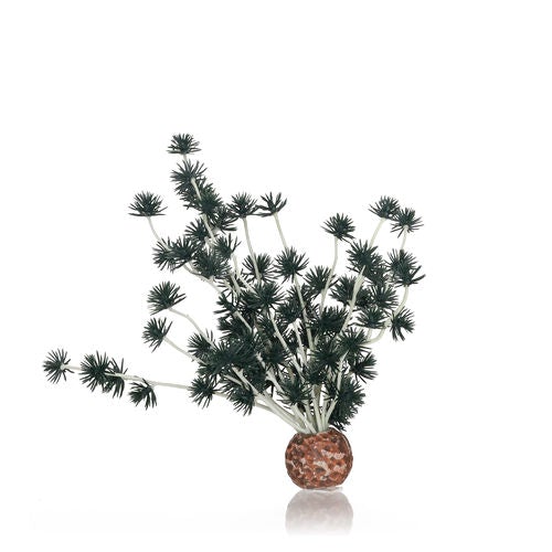 biOrb Plant Bonsai Ball black