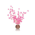 biOrb Plant Bonsai Ball Pink
