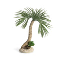 biOrb Seychelles Palm Tree Sculptures