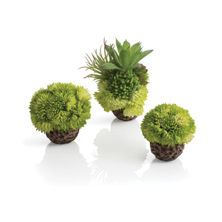 biOrb Plant Seychelles Coral Ball Set of 3 Green