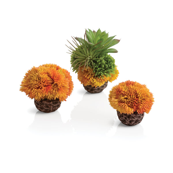 biOrb Plant Seychelles Coral Ball Set of 3 orange
