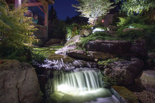 Aquascape® LED Pond Waterfall and Landscape Accent Light 1-Watt