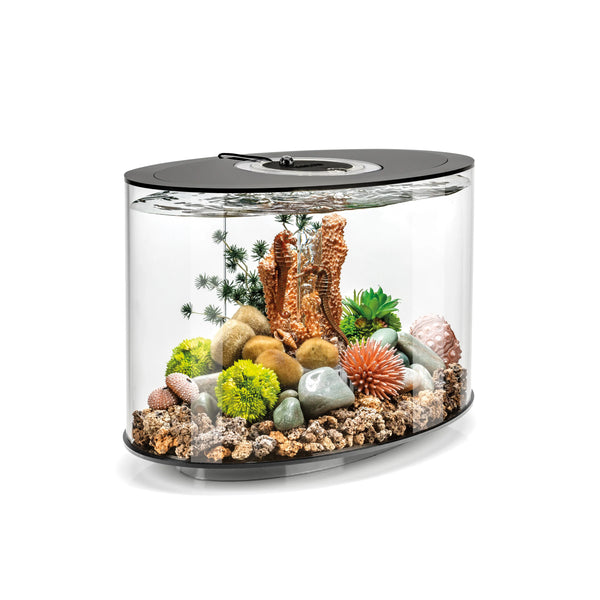 Atlantic® Oase BiOrb LOOP 15 Aquarium with Multi-Color Remote