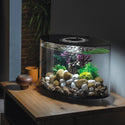 Atlantic® Oase BiOrb LOOP 15 Aquarium with Multi-Color Remote
