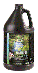 Microbe-Lift® Algaway 5.4 - Algaecide for Ponds