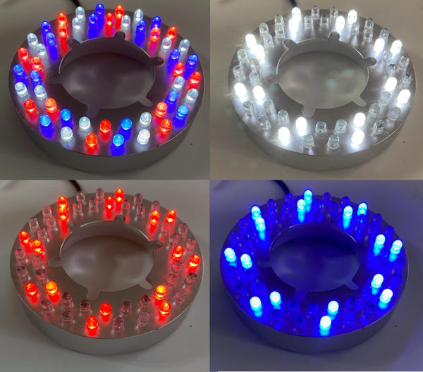 Anjon™ Ignite® LED White & Color-Changing Light Rings