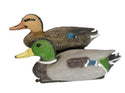 Floating Mallard Ducks