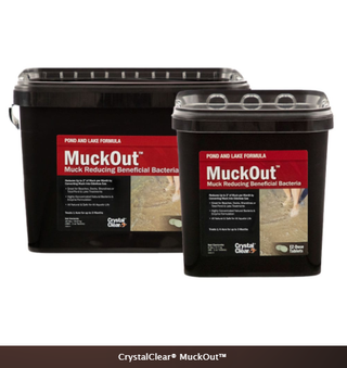 CrystalClear® Pond & Lake MuckOut™ - Reduces Up to 2" of Muck a Month!