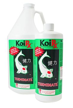 AQUA MEDS® KoiRx™ Terminate™ Koi Treatment for Pond Parasites